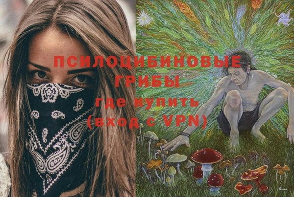 кокс Ростов