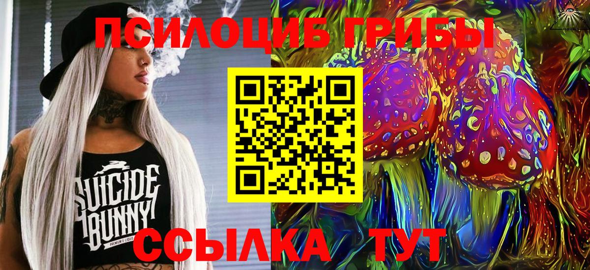 Галлюциногенные грибы MAGIC MUSHROOMS  Псилоцибиновые грибы мицелий  Вход с VPN  Абакан 